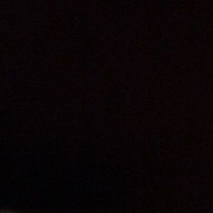 Meet your Posher, Larry